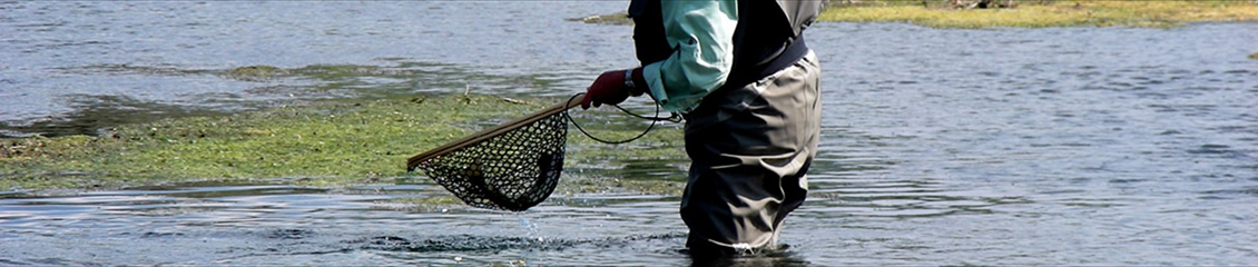 Angler with net